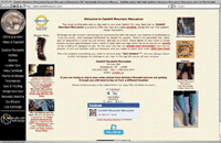 Catskill Mountain Moccasins